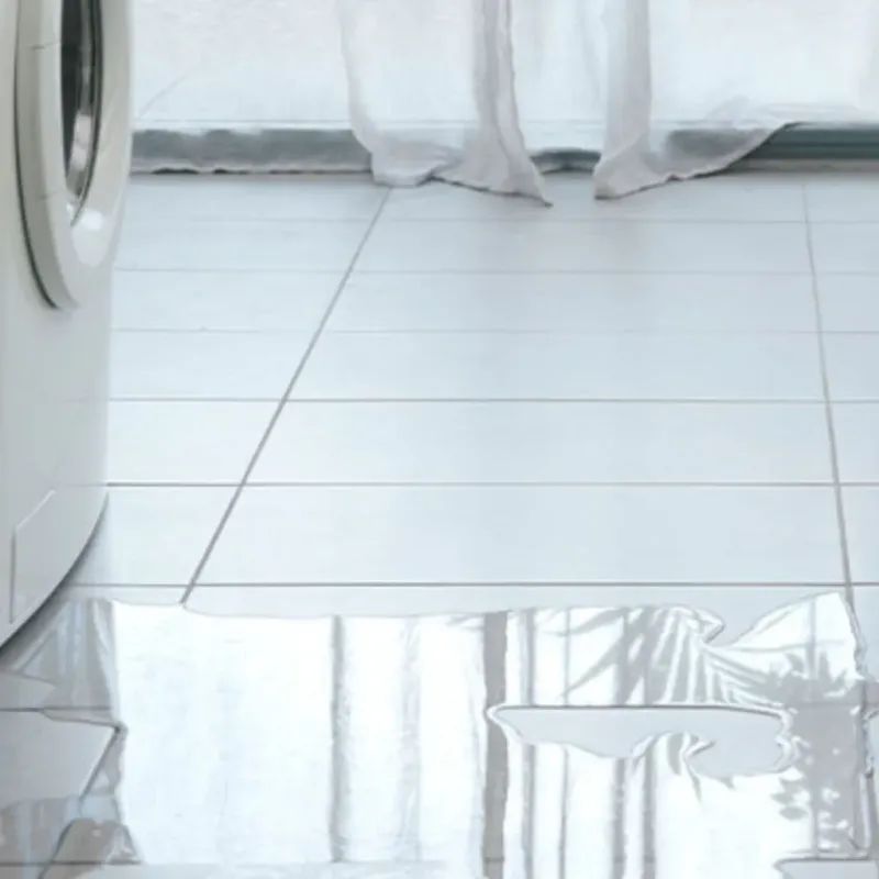 Appliance Leak Cleanup in Coconut Creek, FL